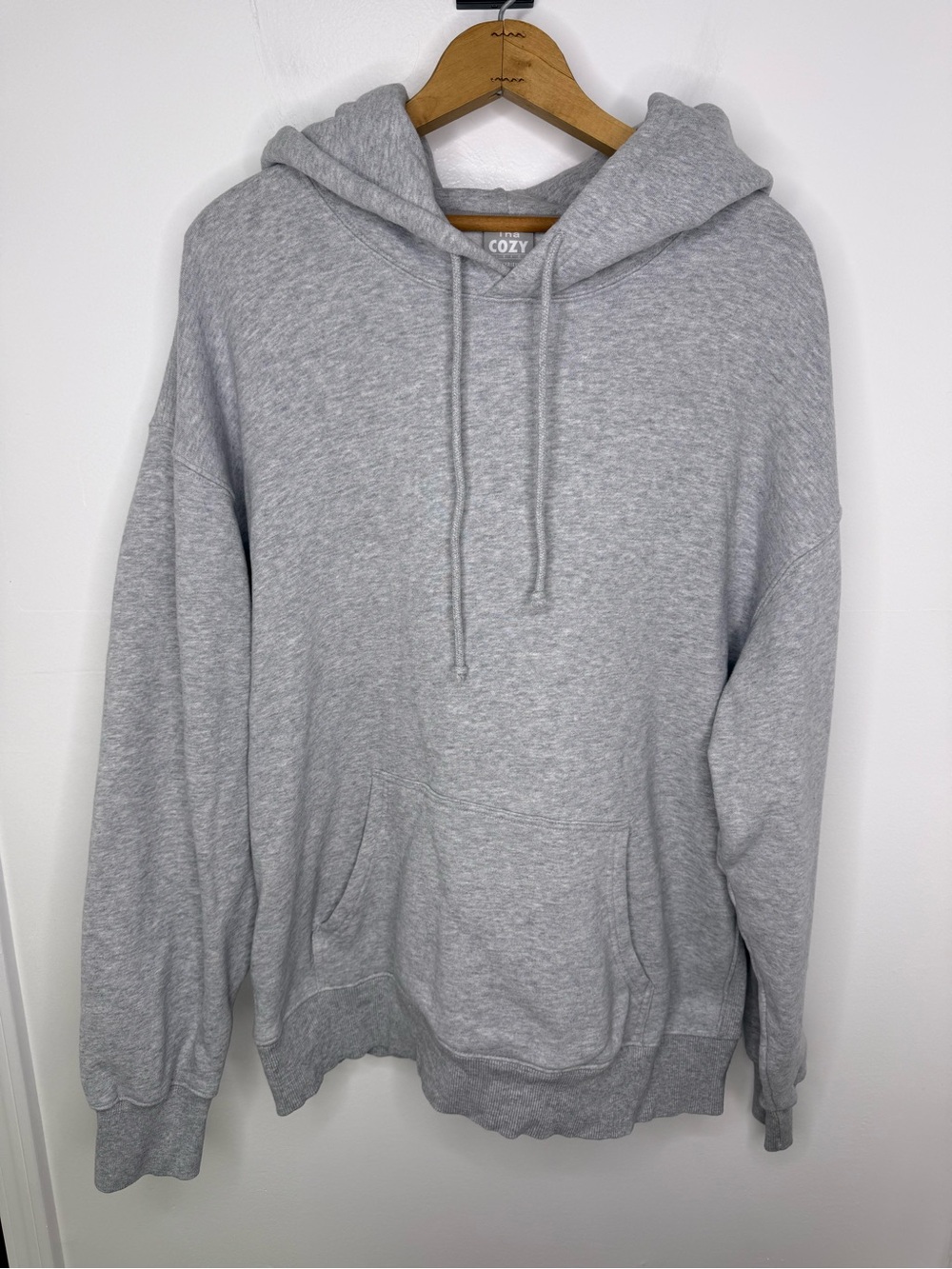 ARITZIA Cozy Fleece Heather Chrome Boyfriend Hoodie - Picture 2 of 5
